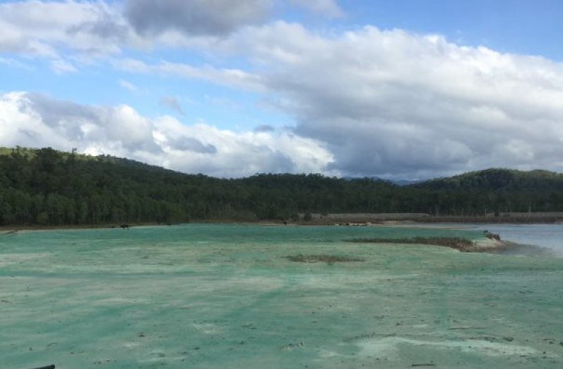 Chemicals applied to areas around a dam.