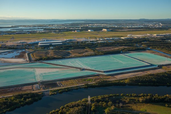 Brisbane airport runway revegetation