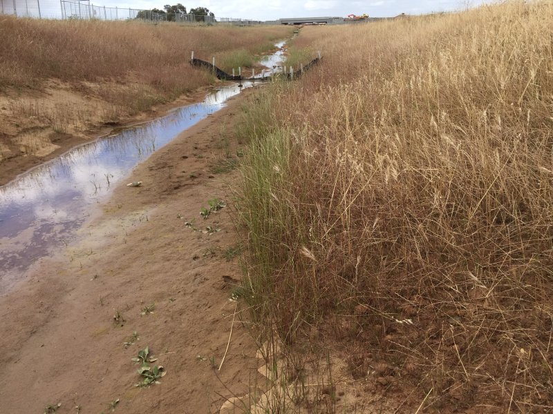 Grass next to a stream