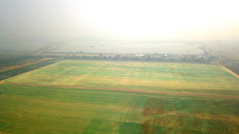 Soil stabilisation on a solar farm