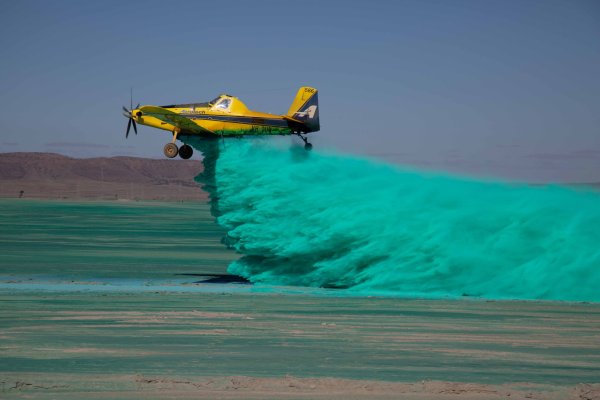A plane applying chemicals