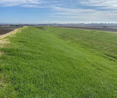 Revegetation solutions - end product