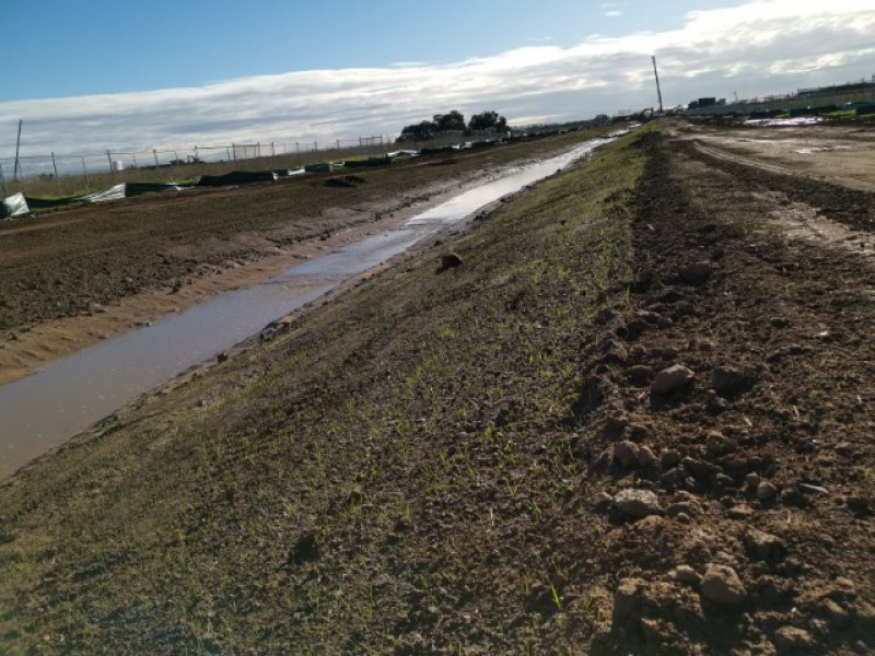 Stabilised soil